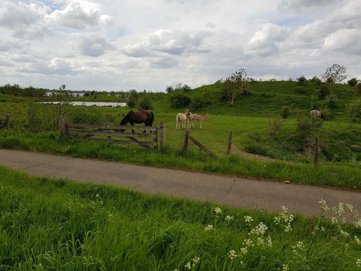 Het Gildehuis Met Sauna En Jacuzzi Stevensweert 外观 照片